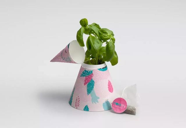 Children's tea packaging (2).jpg
